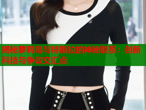 揭秘萝莉岛与特斯拉的神秘联系：创新科技与争议交汇点