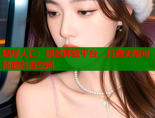 精尽人亡：极致体验平台，打造无限可能的创造空间
